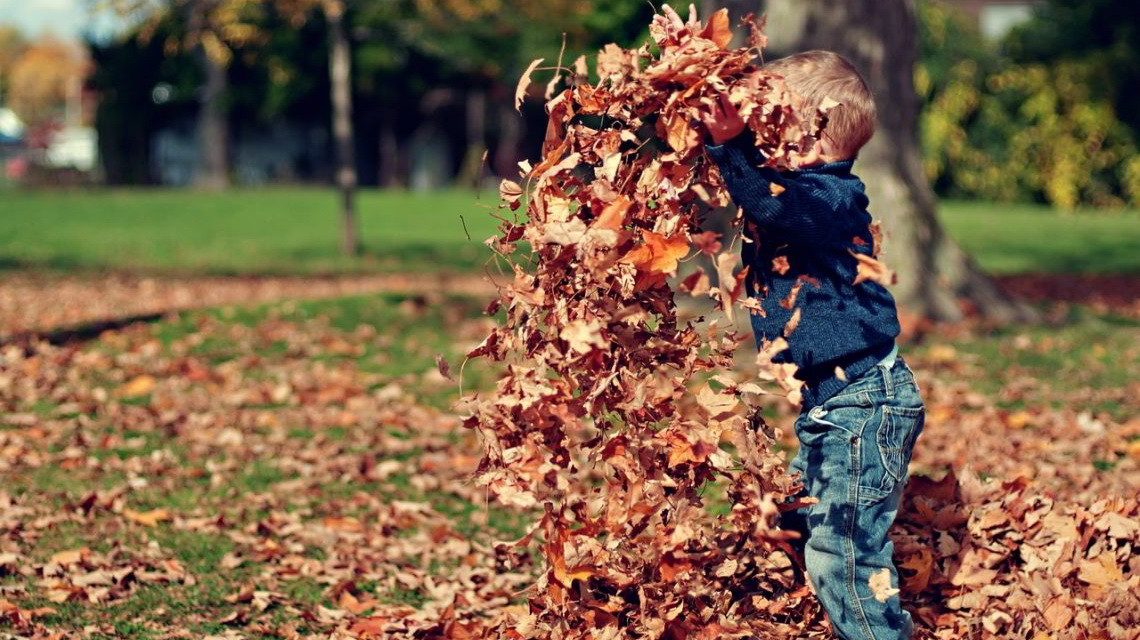 5 buenas razones para vivir en una parcela de agrado