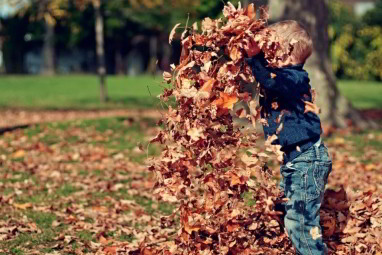 5 buenas razones para vivir en una parcela de agrado