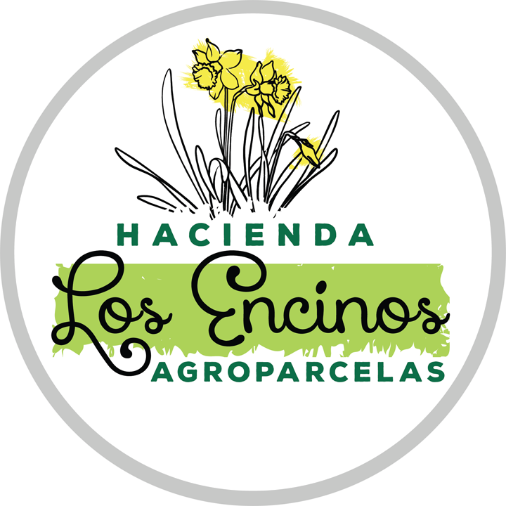 Parcelas Los Encinos, San Carlos, Ñuble